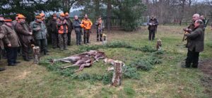 WhatsApp Image 2025-12-13 at 15.45.38 (2)